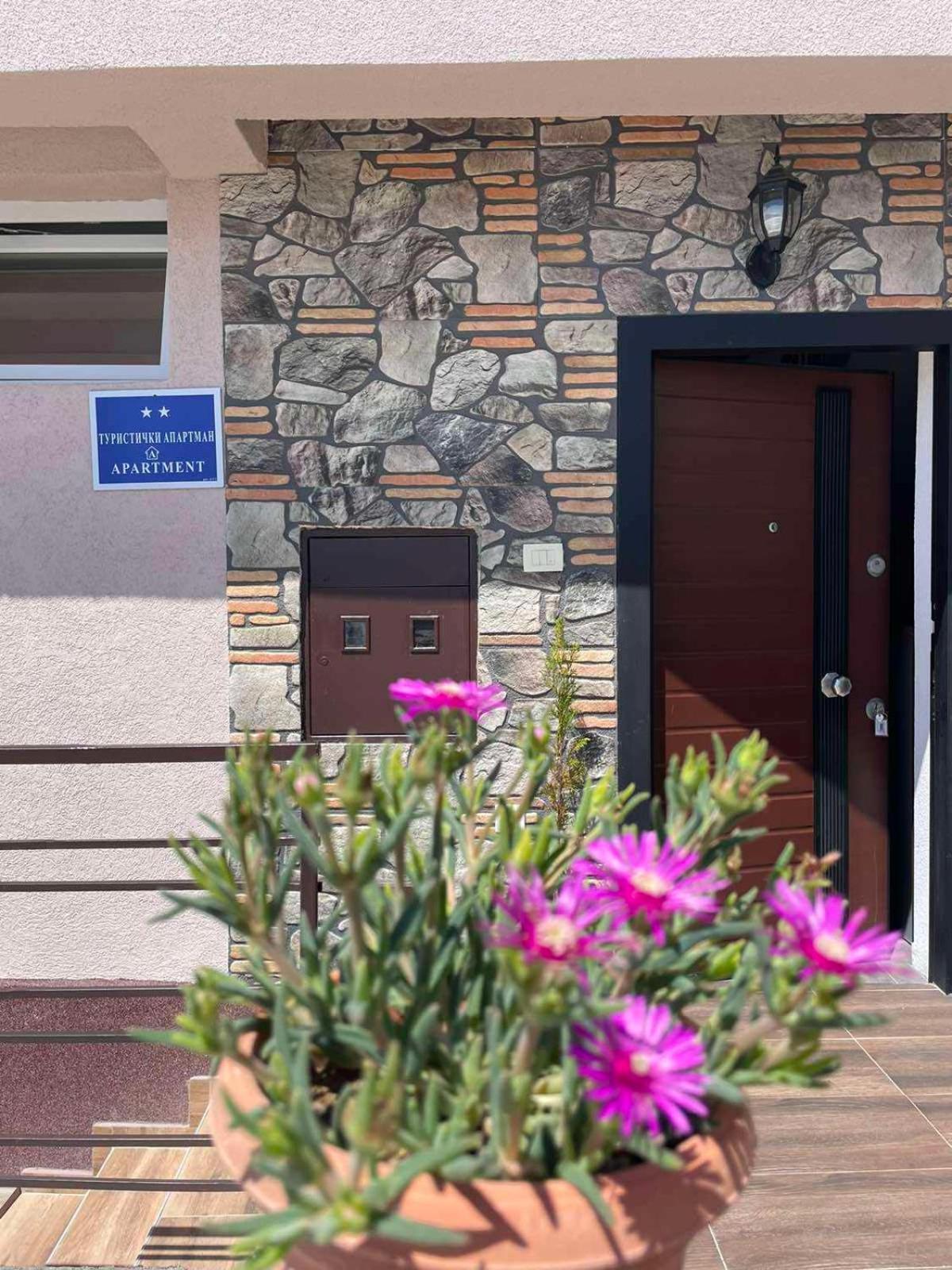 Gopo Guesthouse Elshani 外观 照片
