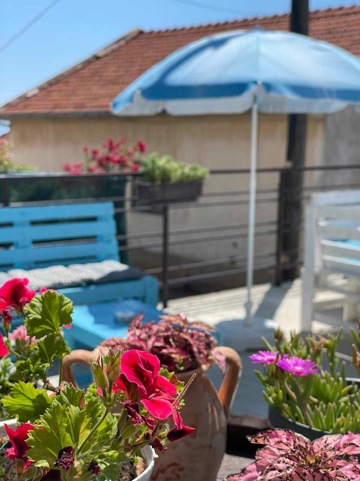 Gopo Guesthouse Elshani 外观 照片